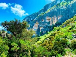 Cal Madow The Green Core of the Horn