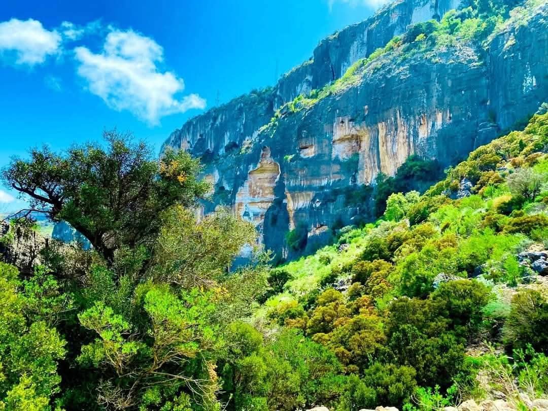 Cal Madow The Green Core of the Horn